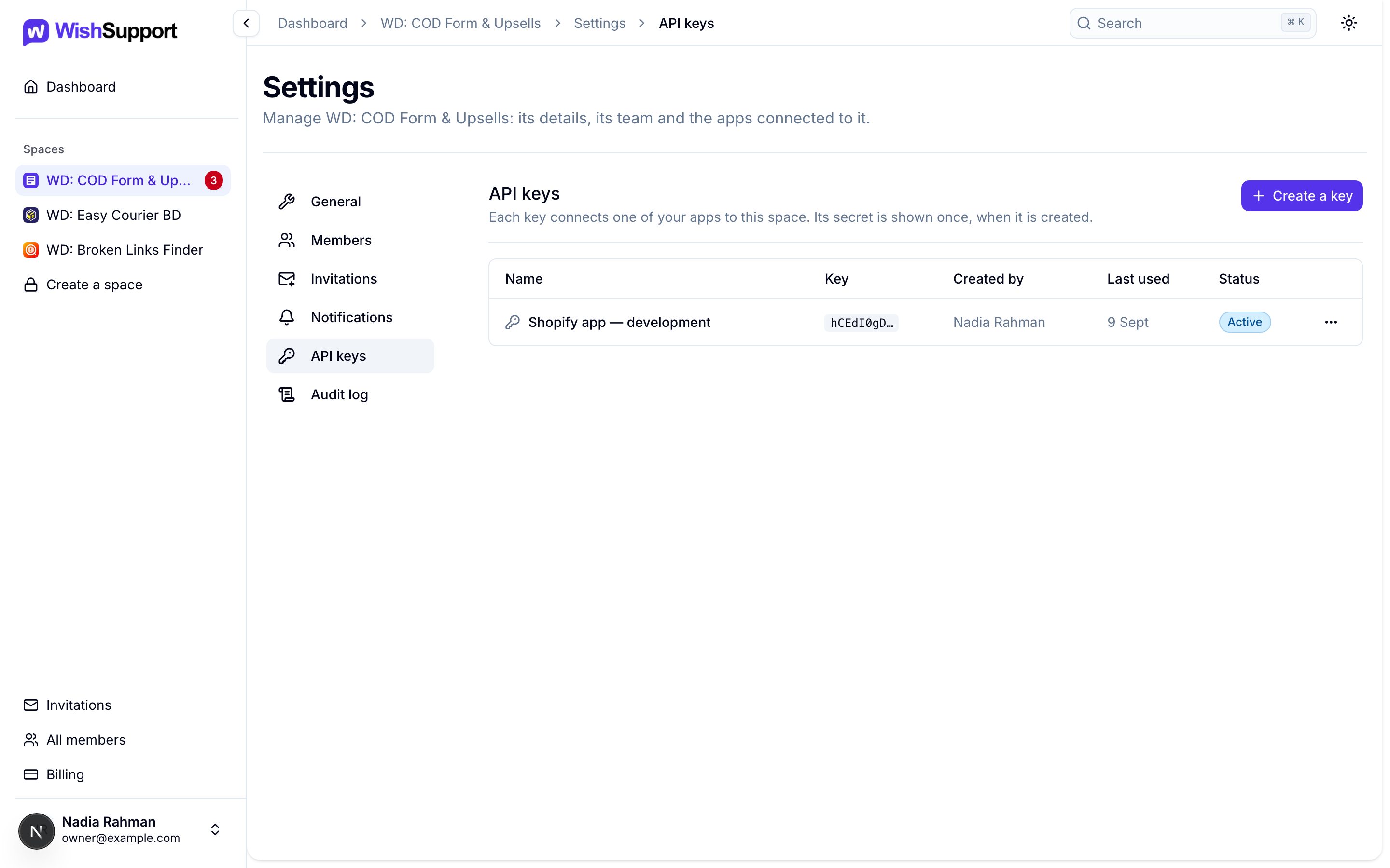 The API keys tab listing one active key with its name, first characters, creator and last used date.